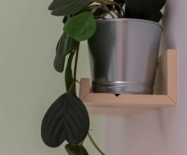 בית הארחה Via Mancini 12 3*