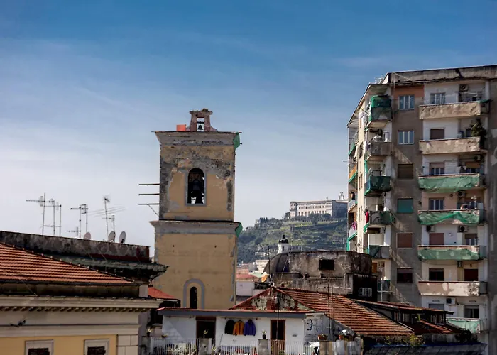 Via Mancini 12 בית הארחה